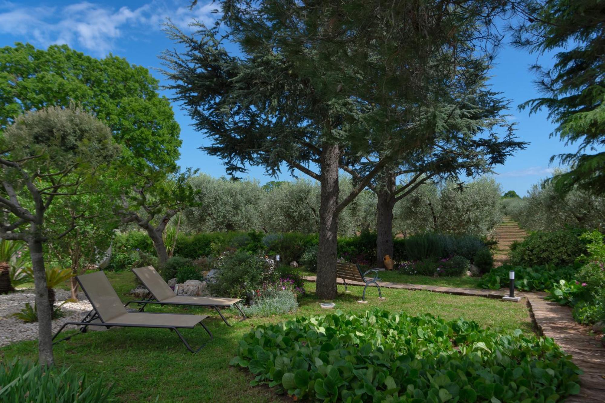 Agriturismo Masseria Aprile Локоротондо Екстериор снимка