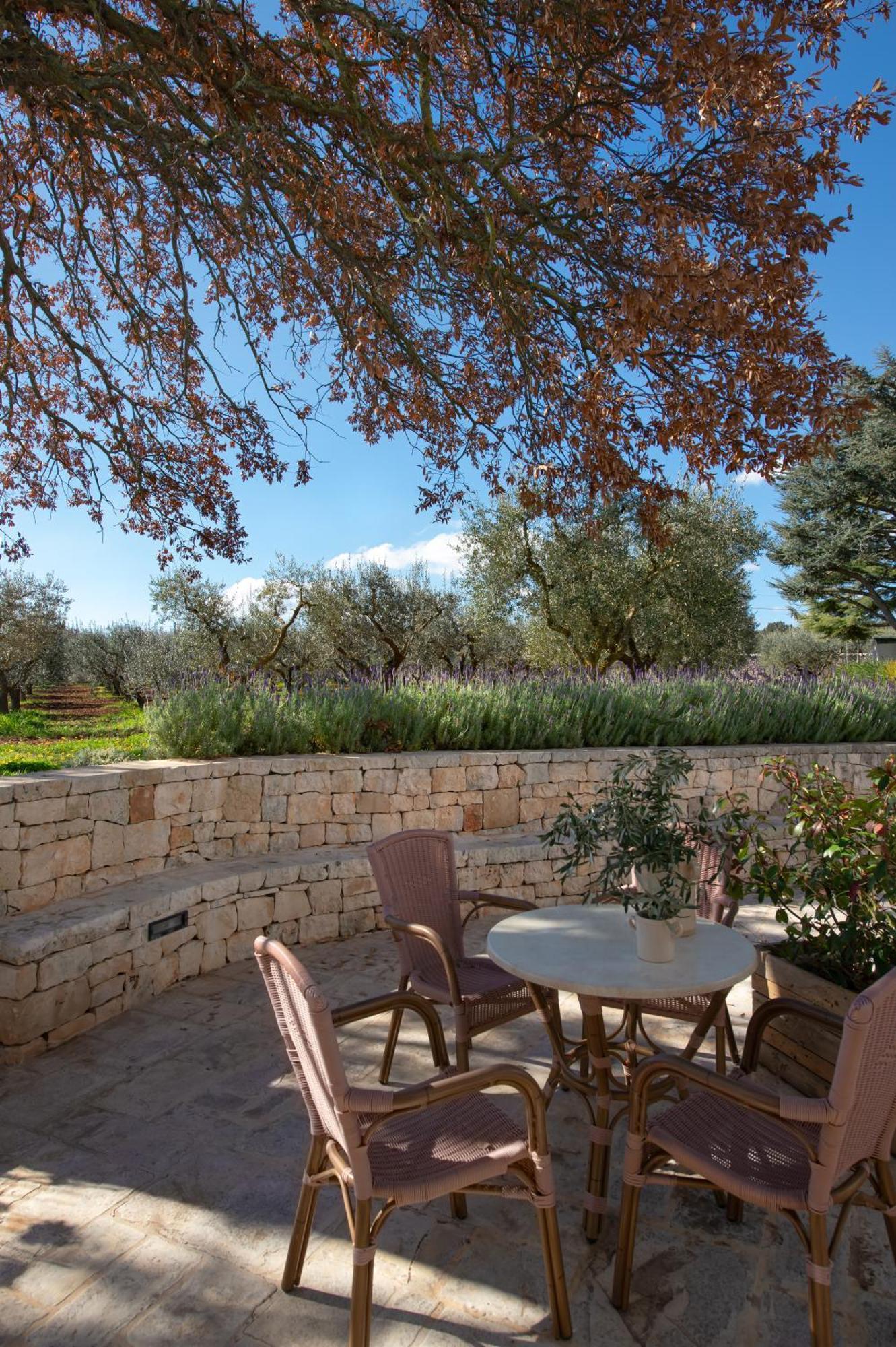 Agriturismo Masseria Aprile Локоротондо Екстериор снимка