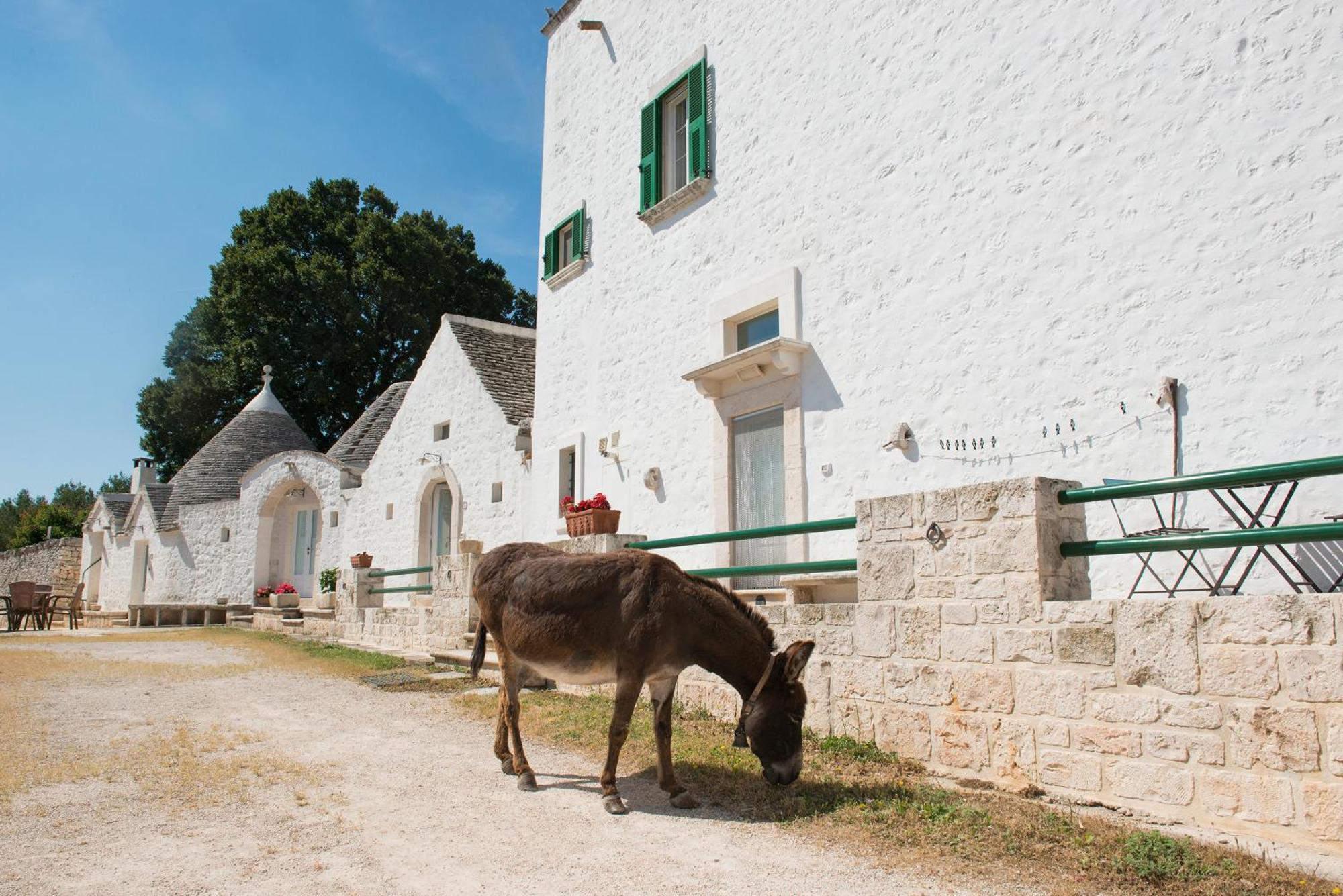 Agriturismo Masseria Aprile Локоротондо Екстериор снимка